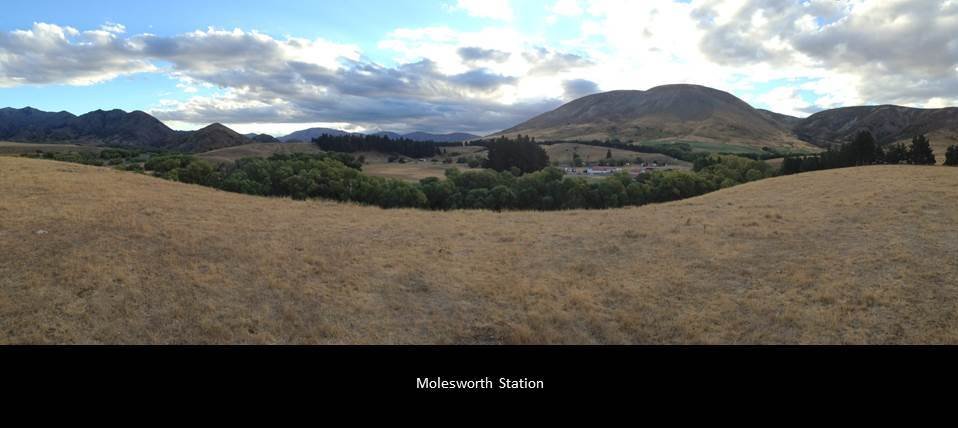 20.jpg (48975 bytes)